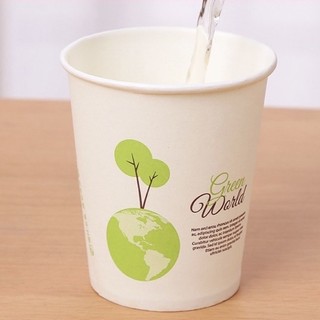 Set 50 chiếc cốc giấy 250ml