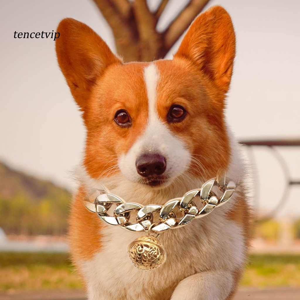 Vòng Cổ Có Chuông Bằng Nhựa Sáng Bóng Cho Thú Cưng