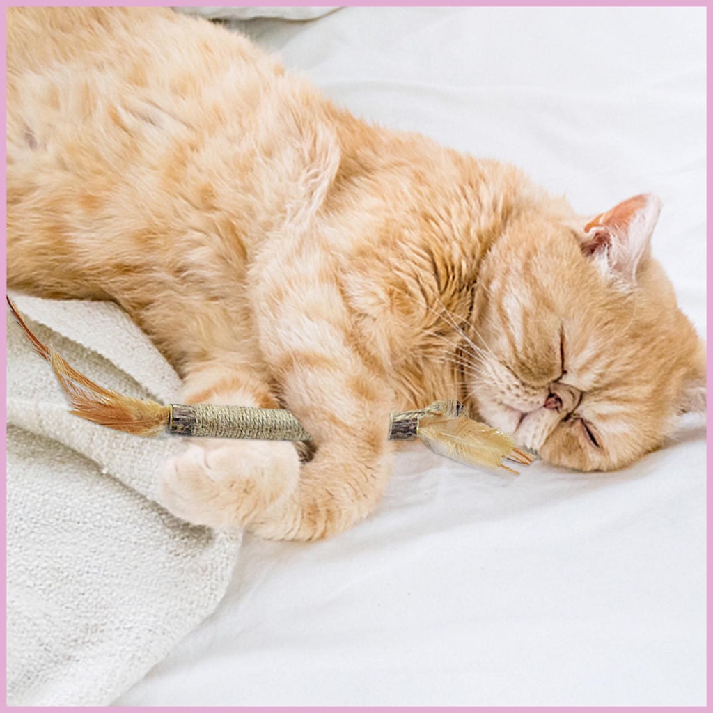 Đồ Chơi Nhai Gặm Bằng Lục Giác Phối Lông Vũ Mềm Mại Cho Mèo Cưng