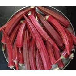 Hạt Giống Đậu Bắp (  Đỏ 5gram - Xanh 20gram - Trắng 20gram)