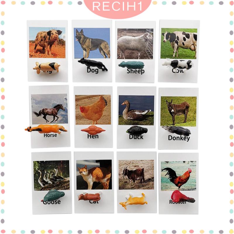 [Recih] Đồ Chơi Mô Hình Động Vật Biển Rừng Nhỏ Cho Bé Mẫu Giáo