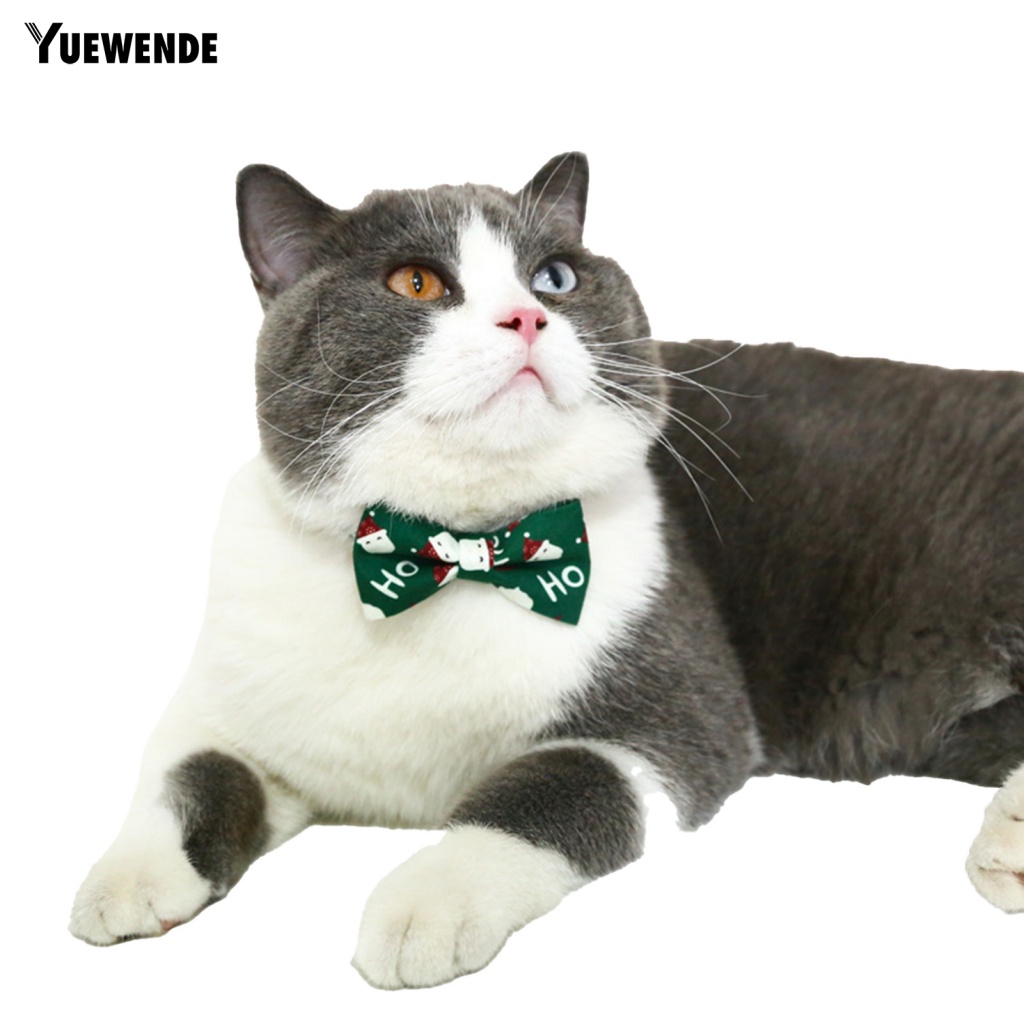 Vòng Cổ MềM MạI Cho Thú Cưng