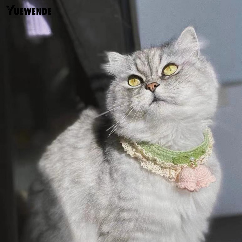 Vòng Cổ Unisex Cho Thú Cưng Đi Tiệc