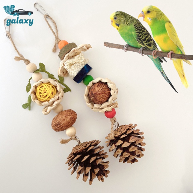 Galaxy Đồ Chơi Nhai Gặm Hình Nón Quả Thông Dành Cho Chim Vẹt
