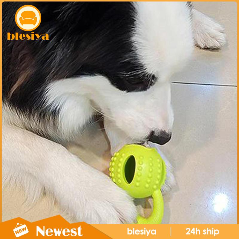 [Blesiya] Đồ Chơi Gặm Nhấm Cho Thú Cưng