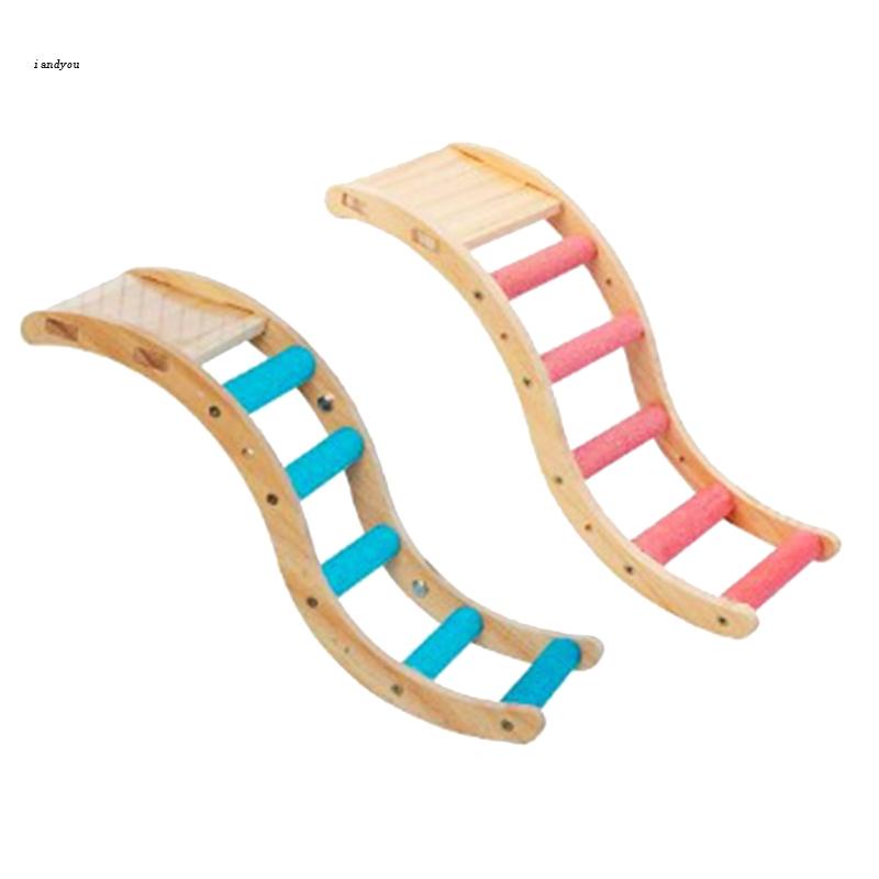 ✿ Thang Leo Dạng Đứng Dễ Lắp Đặt Cho Chim Vẹt Cỡ Nhỏ / Vừa / Nhỏ