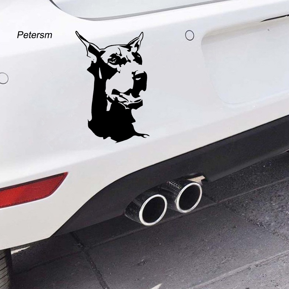 Miếng Dán Trang Trí Xe Hơi / Xe Máy Hình Chú Chó Doberman Bằng Nhựa PP Dễ Thương