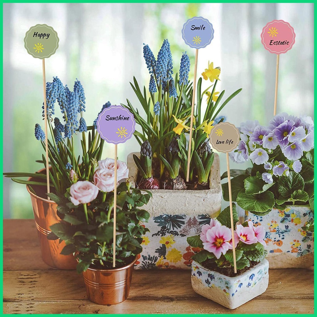 Set 50 Que Tre Hỗ Trợ Trồng Cây Kèm 50 Dây Cột Hỗ Trợ Trồng Cây Trong Nhà 17in