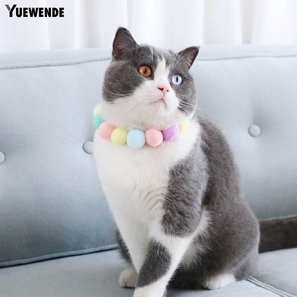 Vòng Cổ Gắn Quả Bông Trang Trí Giáng Sinh Cho Thú Cưng