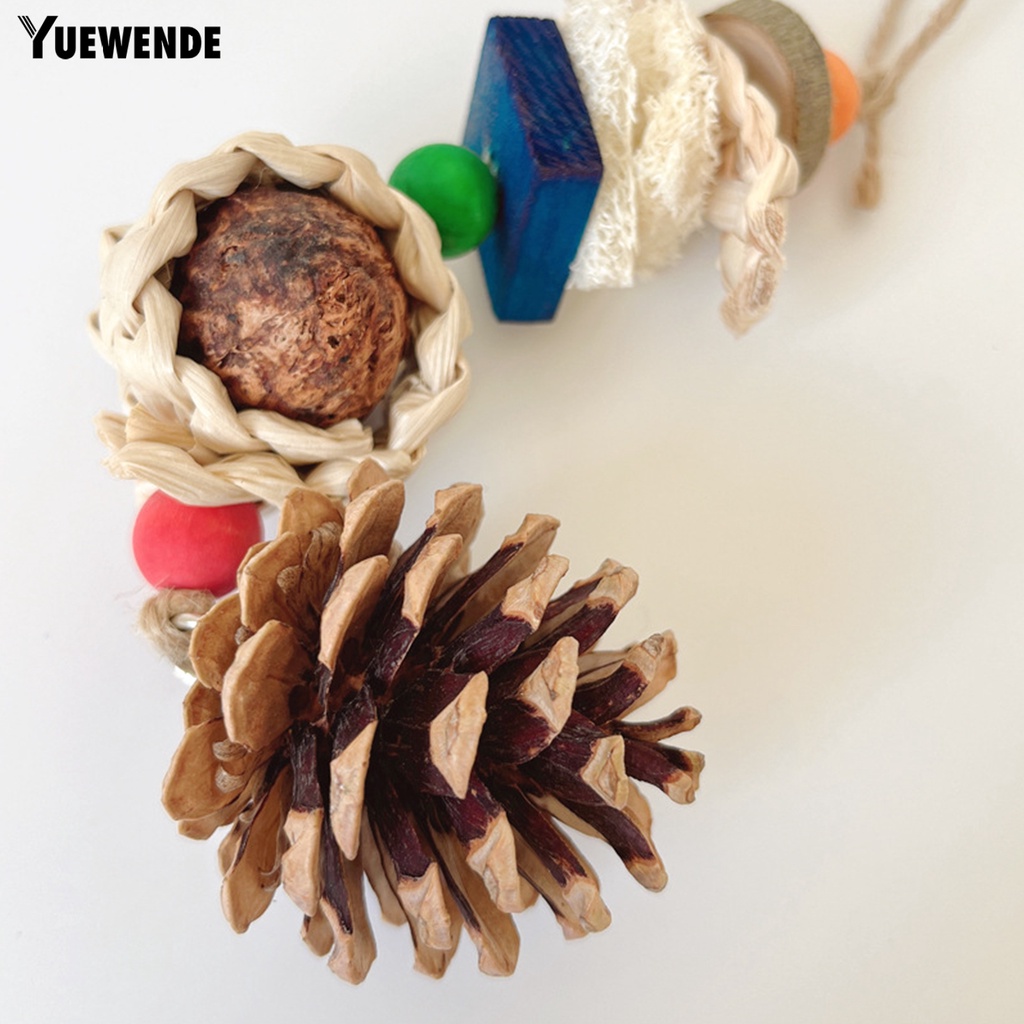 Đồ Chơi Nhai Gặm Hình Nón Có Dây Đeo Chống Cắn Dễ Treo Cho Chim Vẹt