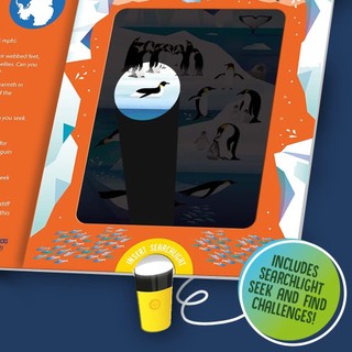 Seek And Find Animals (Seek & Find - Searchlight Books)
