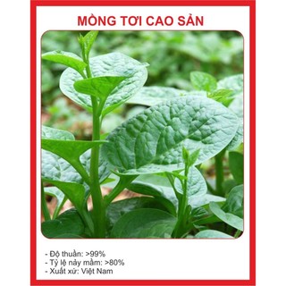 Hạt giống mồng tơi cao sản tói 20g - chất lượng cao , năng suất cao