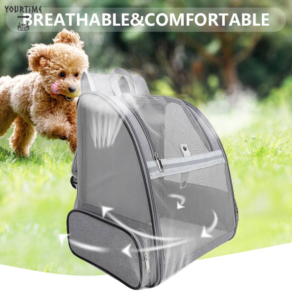 Túi Đựng Thú Cưng Thoáng Khí Có Thể Gấp Lại Tiện Dụng