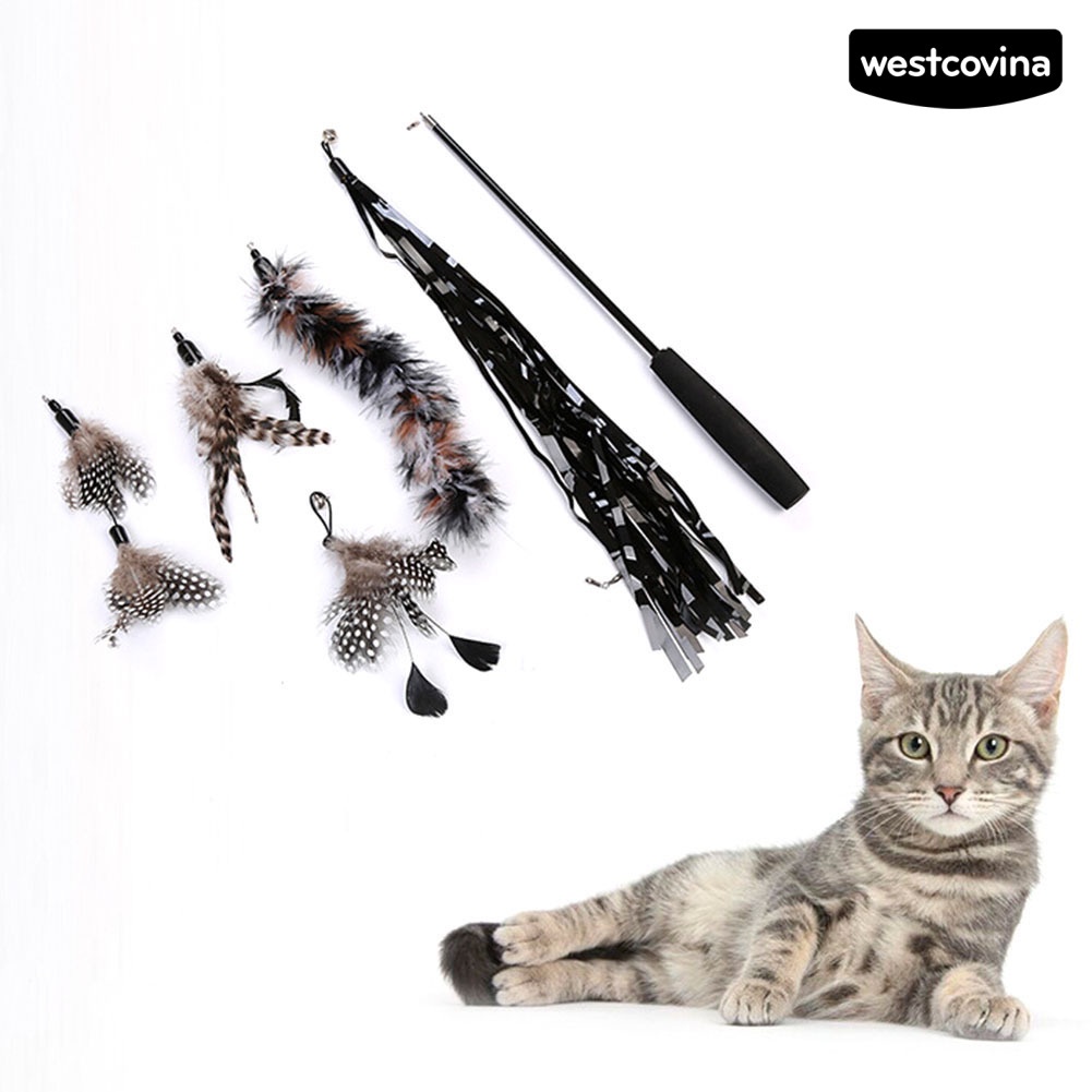 [COD]♞Set 6 Gậy Lông Vũ 3 Khúc Có Thể Thu Gọn Thay Thế Cho Mèo Cưng