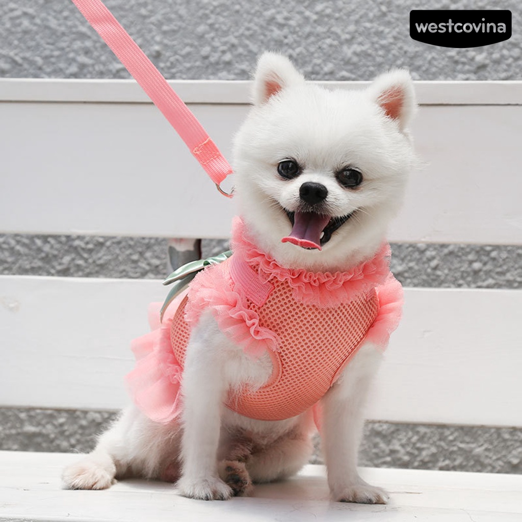 [COD]♞1 Bộ Dây Dắt Thú Cưng Đi Dạo Thiết Kế Thắt Nơ Thoáng Khí