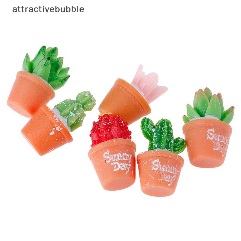 Set 5 Cây Xương Rồng Mini Trang Trí