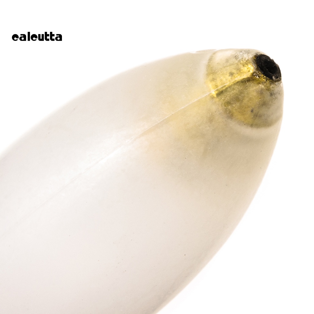 Phao Nổi Câu Cá Bằng Acrylic Dễ Sử Dụng Tiện Lợi