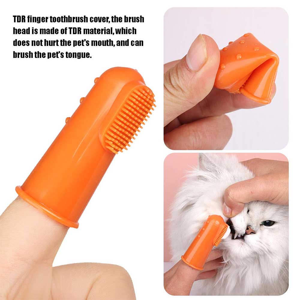 Pet Toothpaste And Toothbrush Puppy Tooth Brushing Kit Small Dog Finger Brush