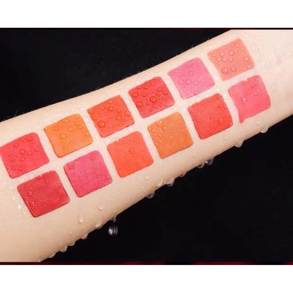 Bảng Son Carmela 12 Ô Siêu Lì Chống Nước  Chính Hãng