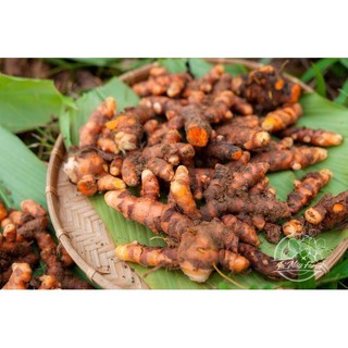 Nghệ mật Phấn hoa 200ml - Lá Mây Farm