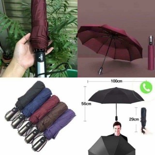 Ô Gấp Tự Động 2 Chiều Xuất Nhật