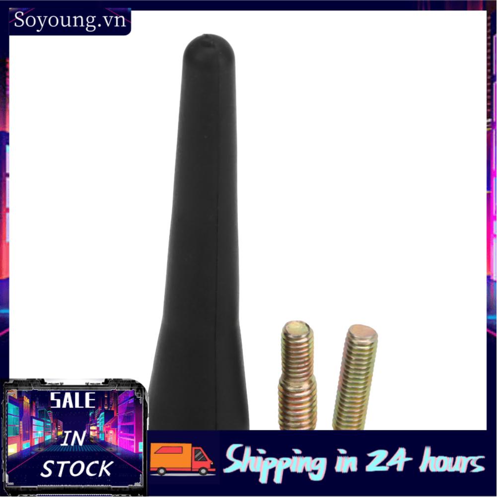 Soyoung Roof Mount Short  Size for Car