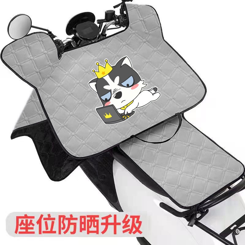 Chăn Che Nắng Chắn Gió Chống Thấm Nước Tiện Dụng Cho Người Đi Xe Máy