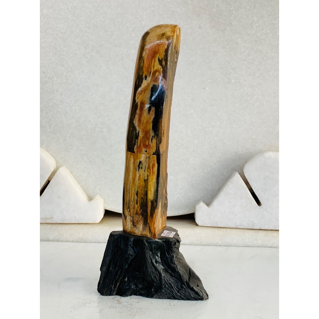 Gỗ Hoá Thạch tự nhiên,, ...