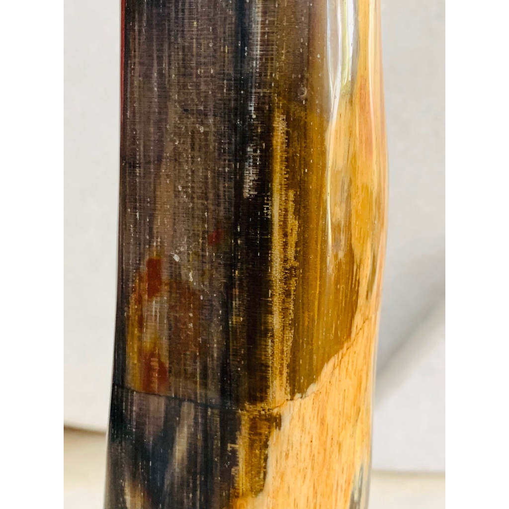 Gỗ Hoá Thạch tự nhiên,, ...