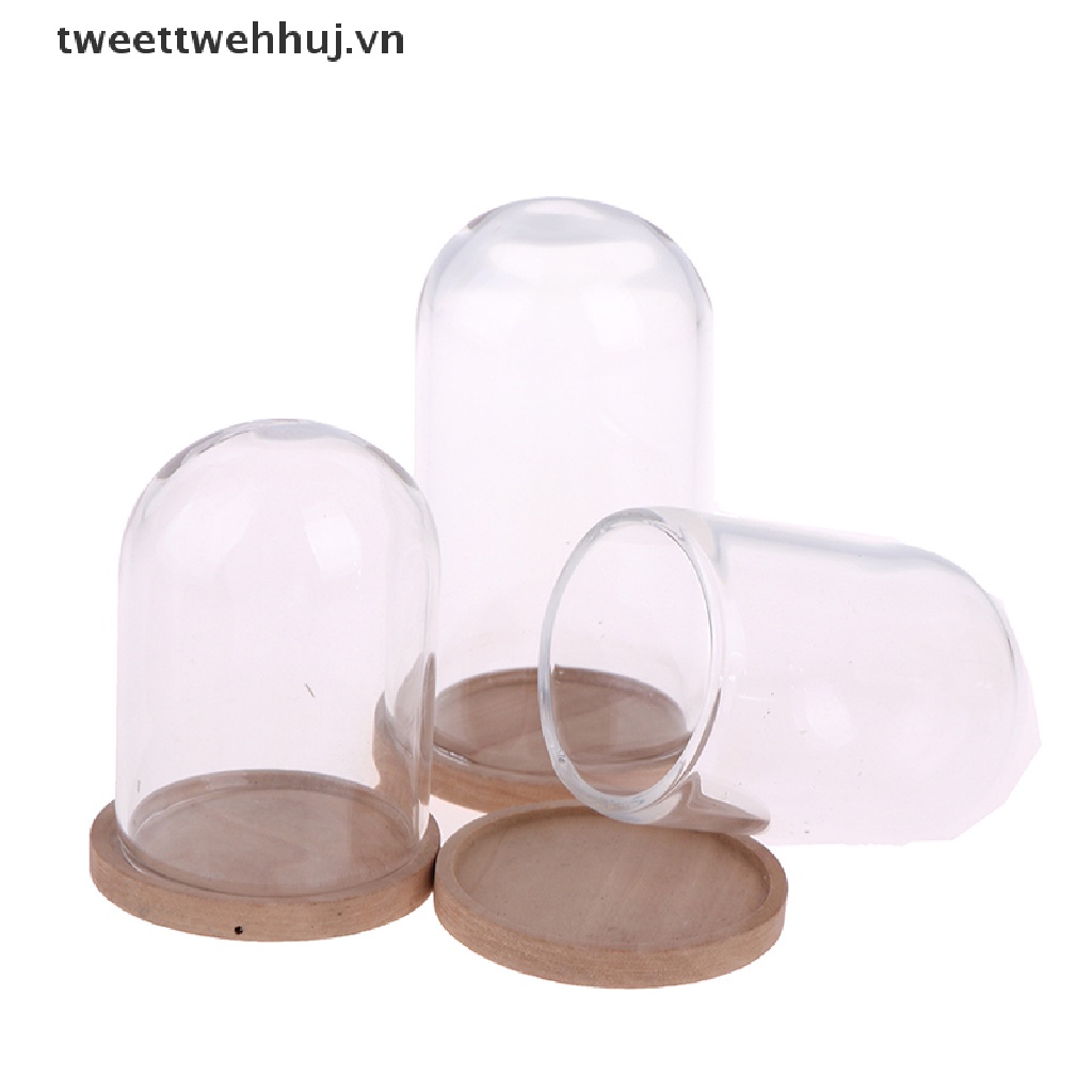 Lọ Thủy Tinh Đựng Hoa Trưng Bày Kèm Đế Trang Trí Nhà Búp Bê Tỉ Lệ 1: 12