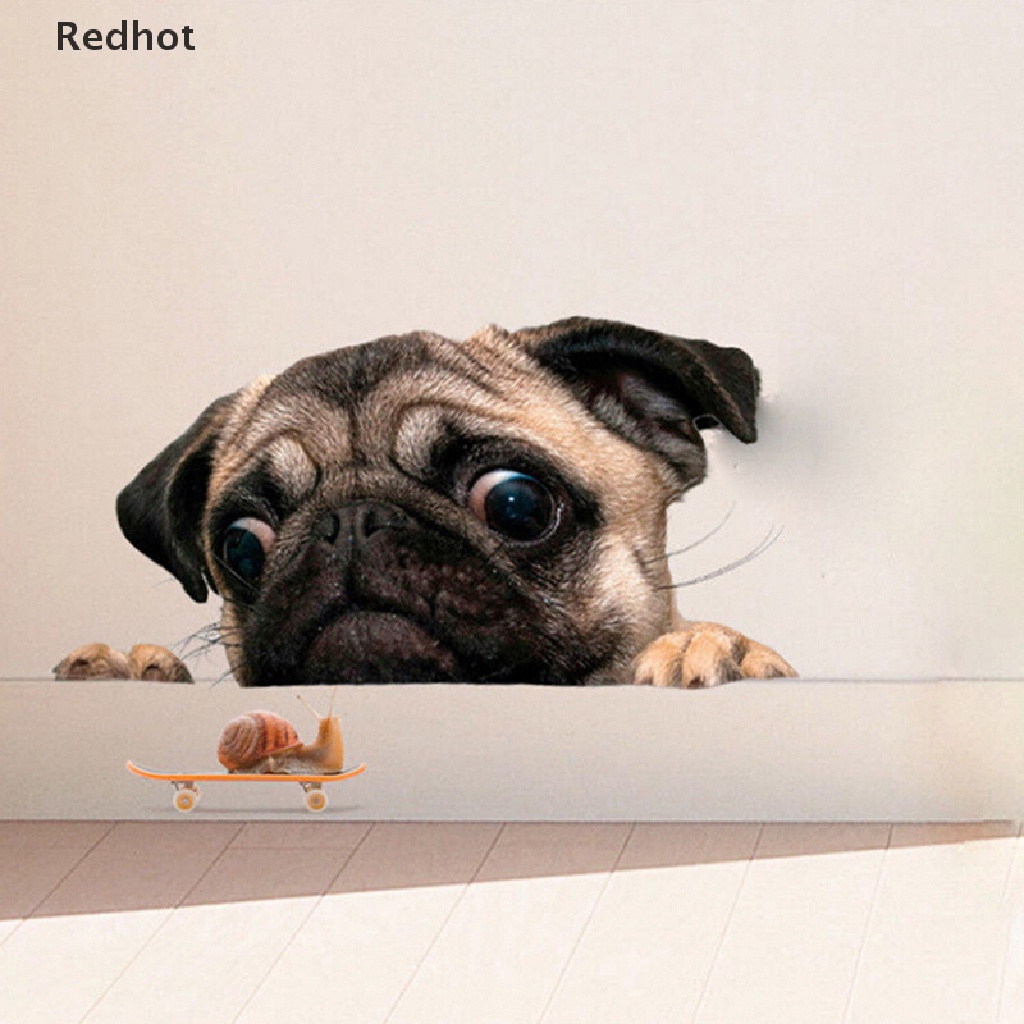 Đề Can 3D Hình Chú Chó Pug Và Ốc Sên Ngộ Nghĩnh Đáng Yêu Dán Trang Trí Xe Hơi Laptop