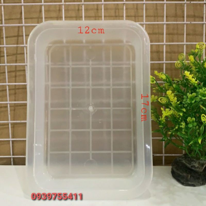 THAO TẮM CHO CHIM CẢNH