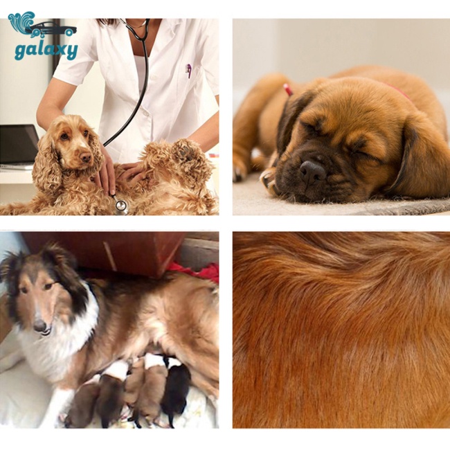 Galaxy Bộ Áo Liền Quần Họa Tiết Rằn Ri Cho Thú Cưng