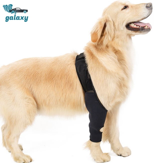 Đai Quấn Bảo Vệ Đầu Gối Đa Năng Có Thể Điều Chỉnh Cho Thú Cưng galaxy