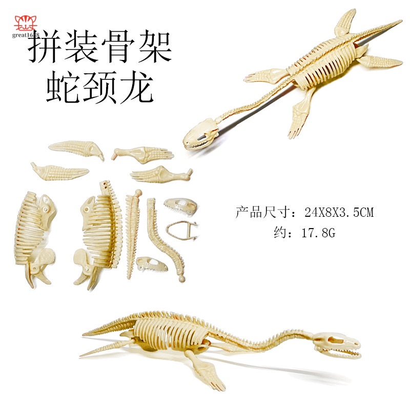 Bộ Xương Khủng Long Lắp Ráp Kích Thước 21CM