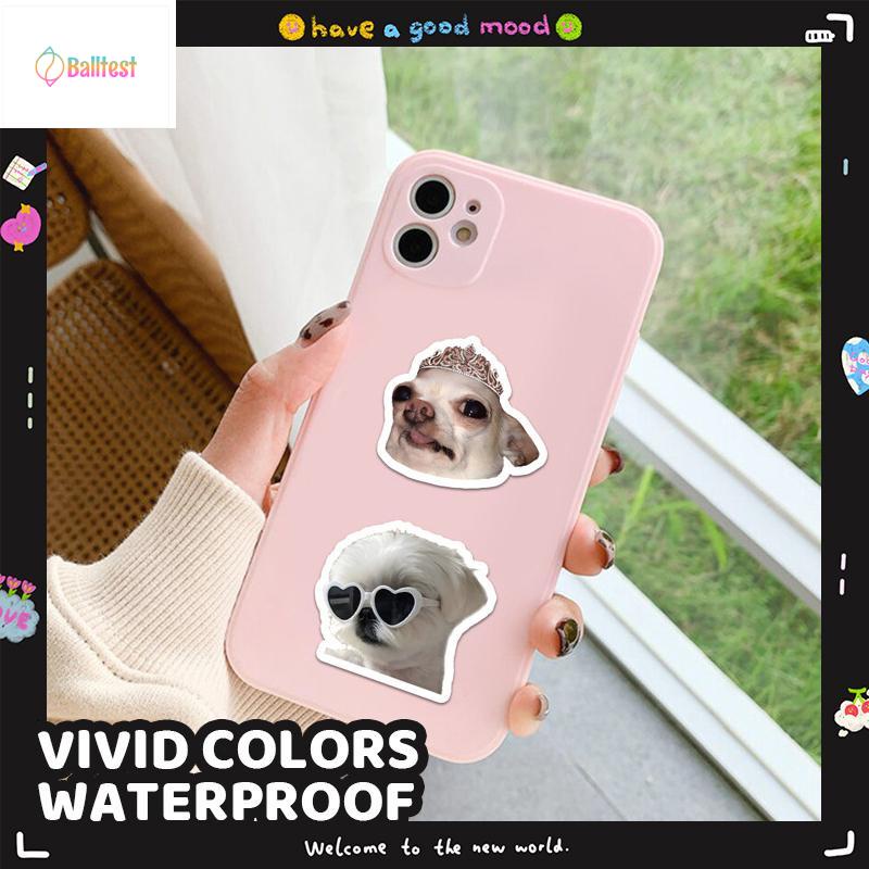 💜Set 60 Sticker Dán Laptop, Điện Thoại, Ván Trượt, Ván Trượt Hình Doge Mèo  Vui Nhộn
