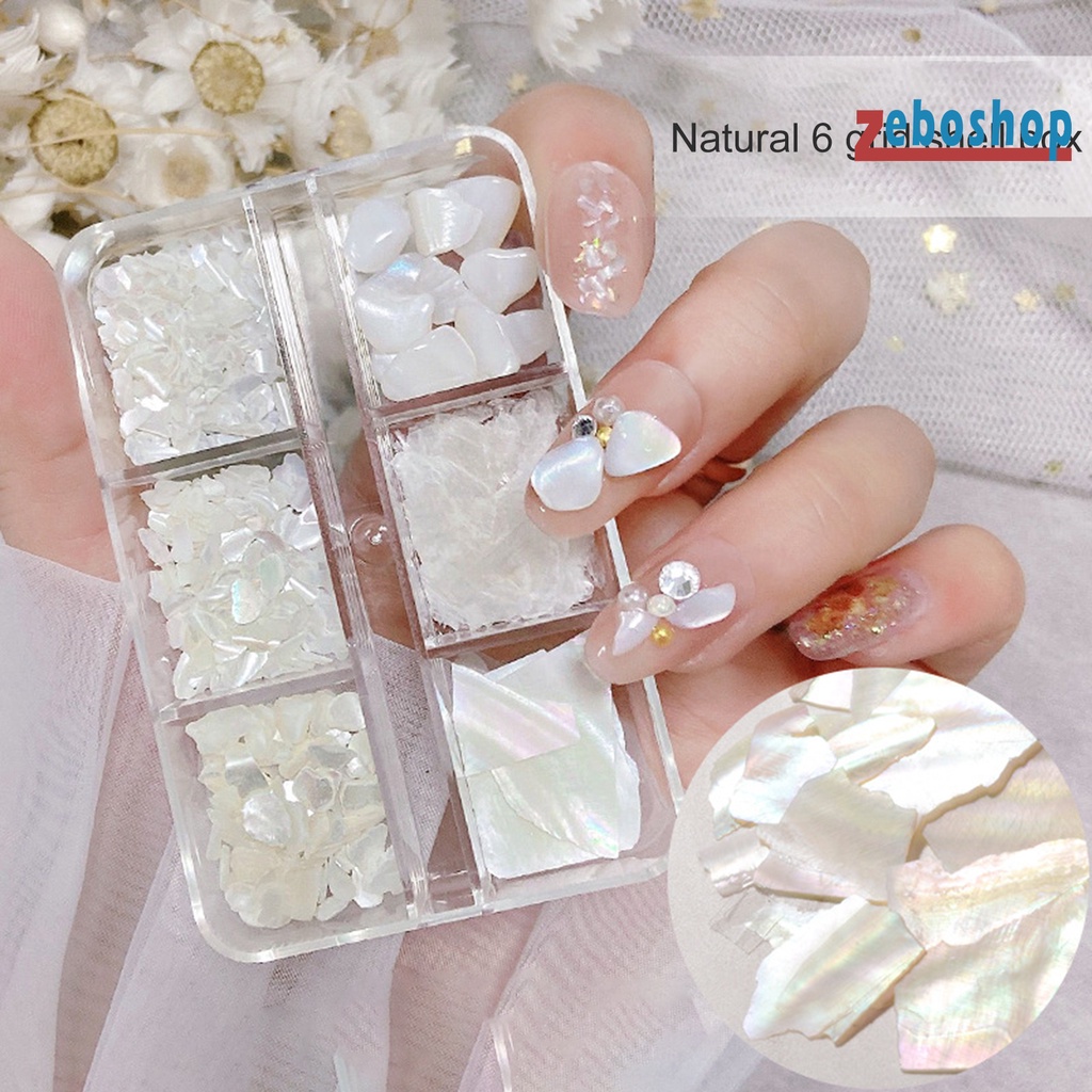 1 Hộp Vỏ Sò 3D Trang Trí Móng Tay Nghệ Thuật