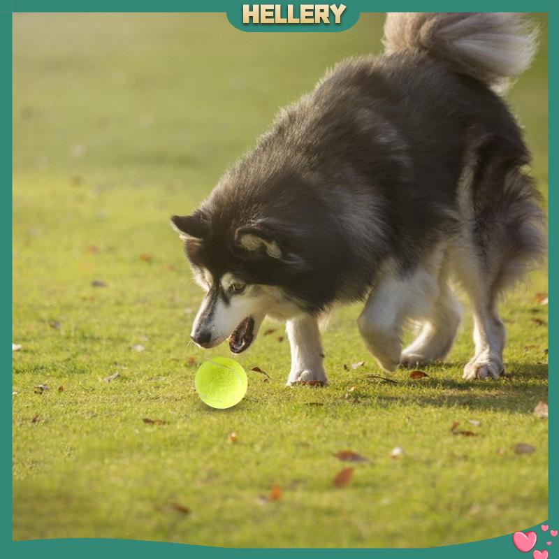 Quả Bóng Tennis Cao Su Co Giãn Tốt Dùng Huấn Luyện Thú Cưng