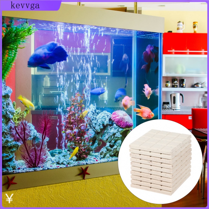 Set 10 Đĩa Sứ San Hô Hỗ Trợ Bể Cá