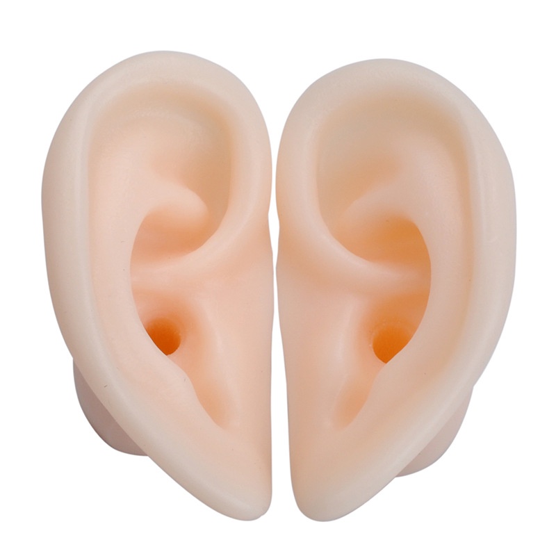 Mô Hình Tai Giả Silicon Chuyên Để Học Ráy Tai