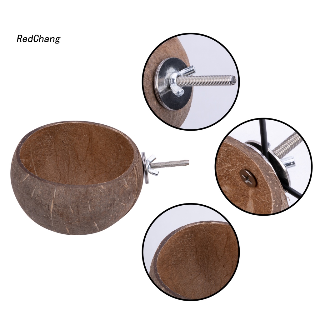Hộp Đựng Thức Ăn Đa Năng Hình Vỏ Dừa Độc Đáo Cho Thỏ / Chuột Hamster