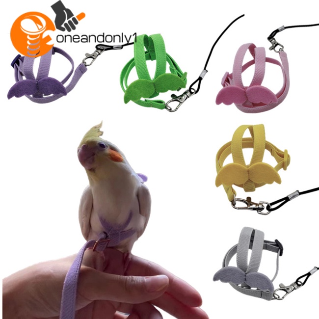 Dây Đai Dắt Chim Vẹt Đi Dạo Siêu Nhẹ Tùy Chỉnh Kèm Tay Cầm Thoải Mái Tiện Dụng