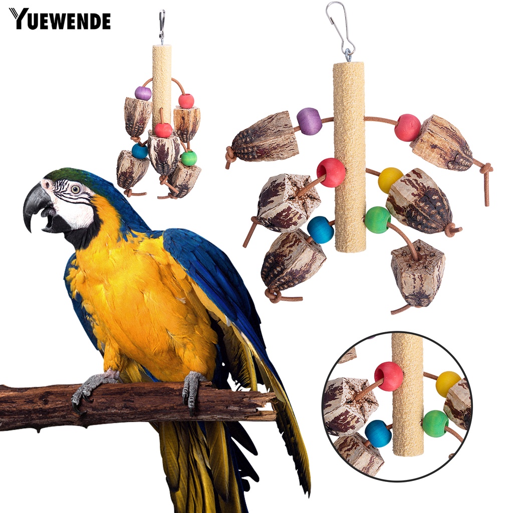 Đồ Chơi Treo Mài Răng Chống Cắn Cho Chim Vẹt Cỡ Vừa Và Vừa