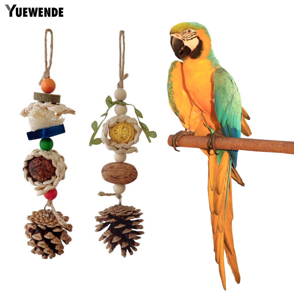 Đồ Chơi Nhai Gặm Hình Nón Có Dây Đeo Chống Cắn Dễ Treo Cho Chim Vẹt