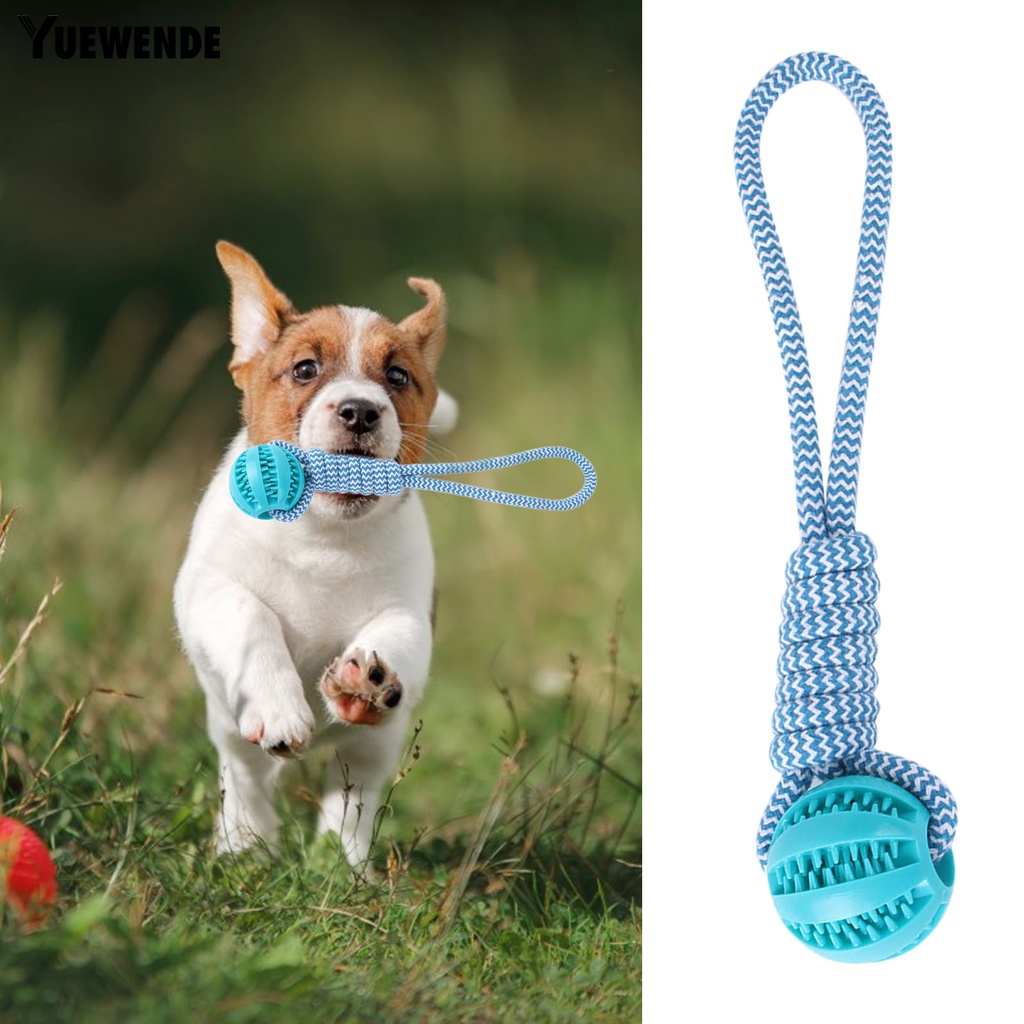 Đồ Chơi Dây Cao Su Gắn Bóng Cao Su Giúp Giữ Sạch Răng Chống Cắn Và Mài Mòn Cho Thú Cưng