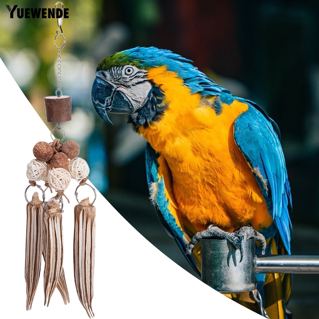 Đồ Chơi Vỏ Dừa Chống Cắn Dành Cho Chim Vẹt