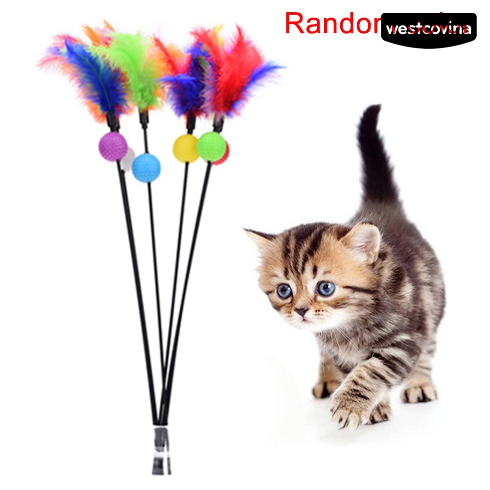 [COD]♞Gậy Gắn Lông Vũ Chơi Với Mèo