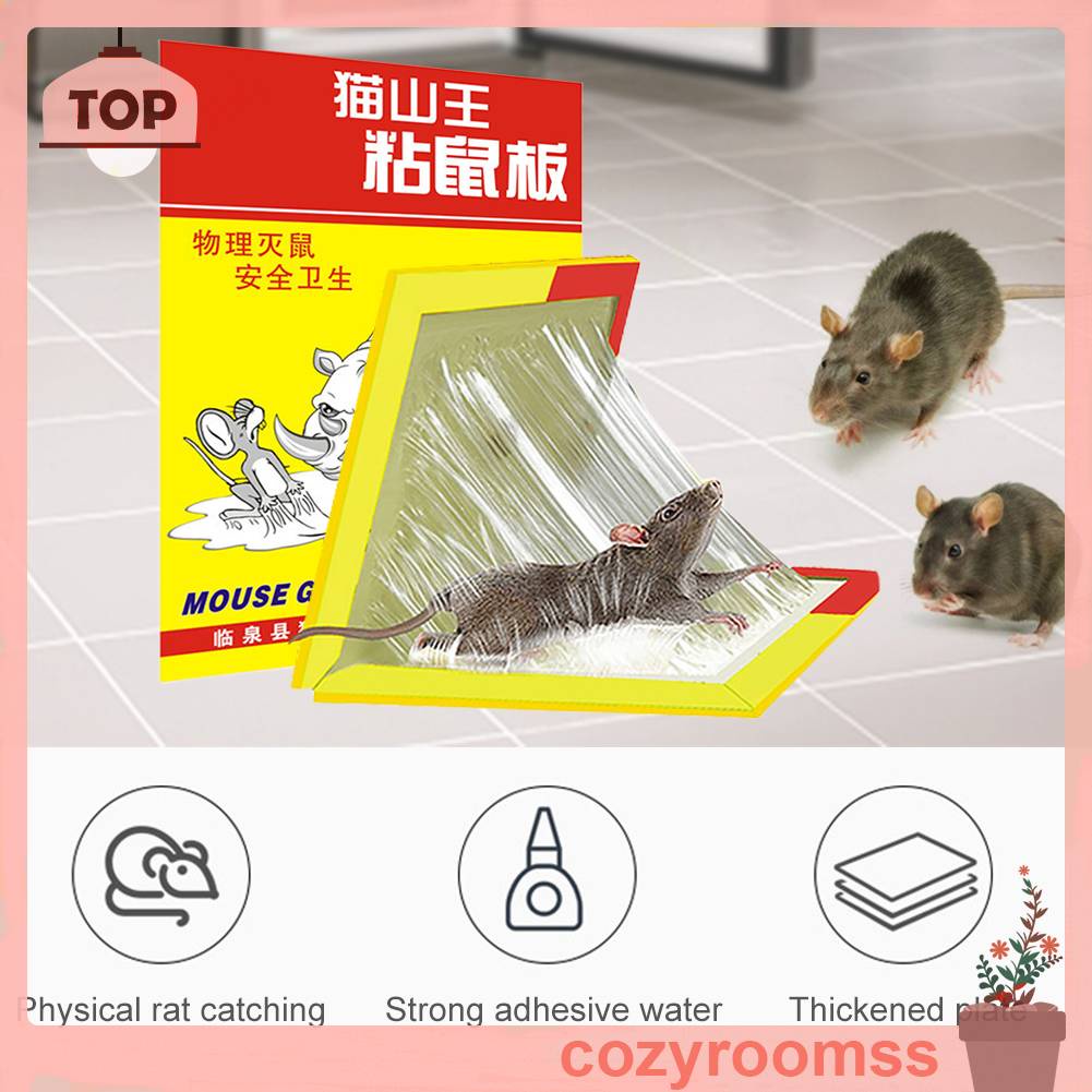 Giấy Dán Hình Chuột Bắt Giấc Mơ Trang Trí Nhà Bếp / Văn Phòng