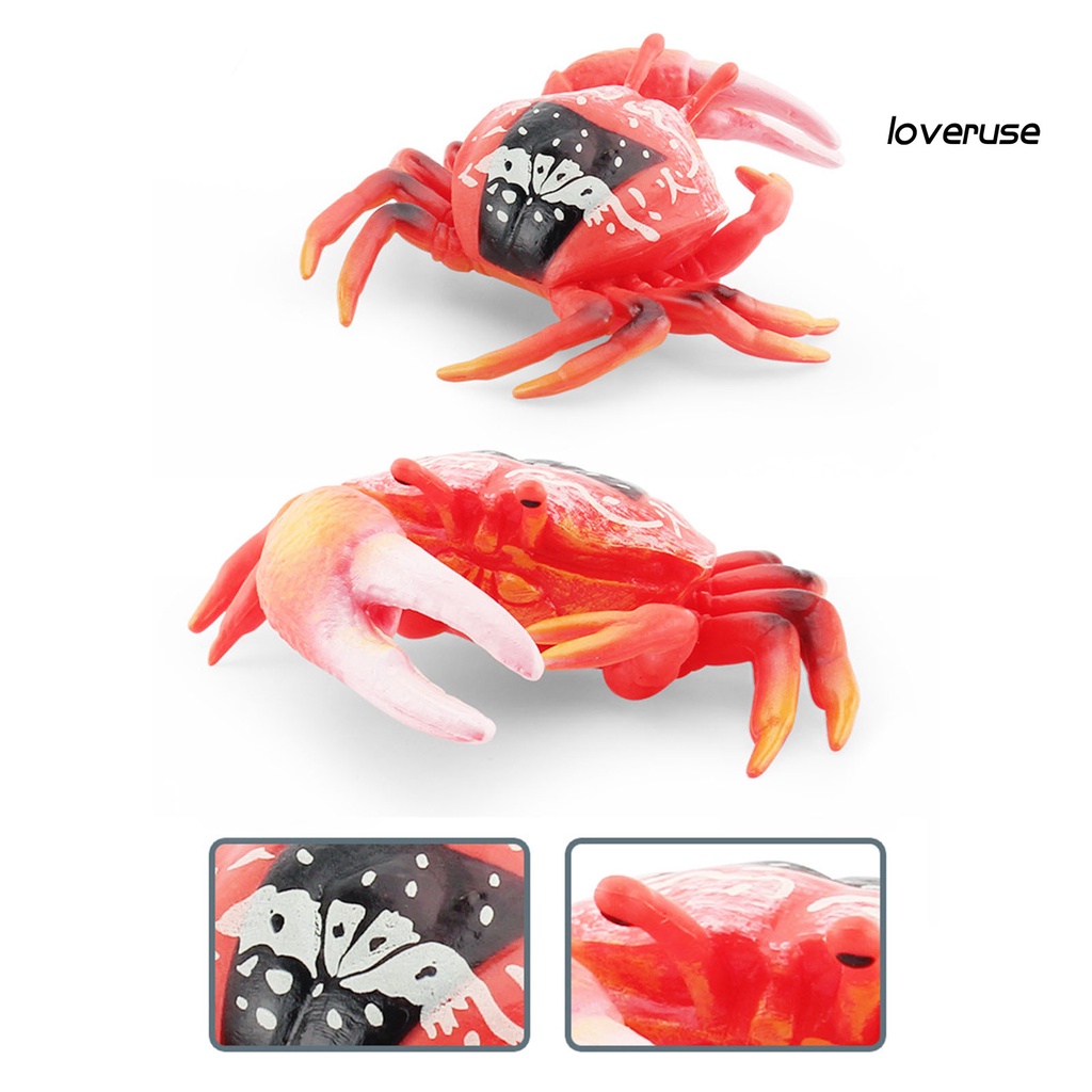 Mô Hình Đồ Chơi Chú Cua Biển Bằng PVC Trơn Trang Trí Bàn Làm Việc