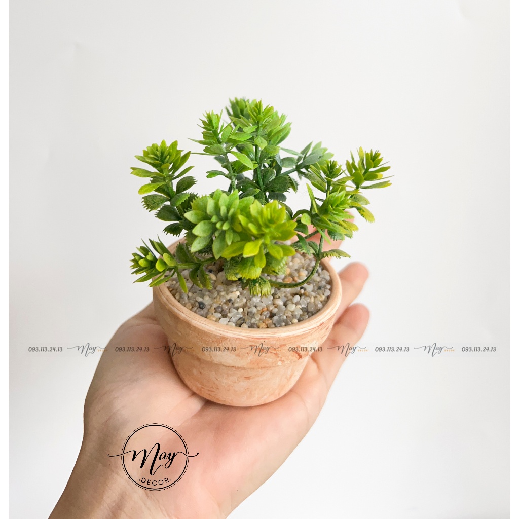 Chậu cây giả, Chậu Sen Quan Âm Hồng Mix sen đá trang trí